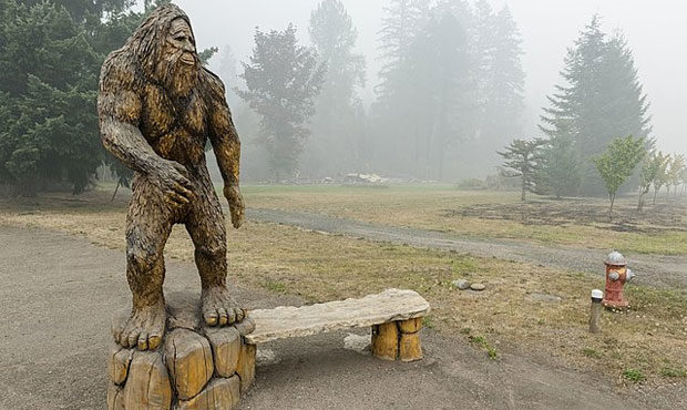 Bigfoot
